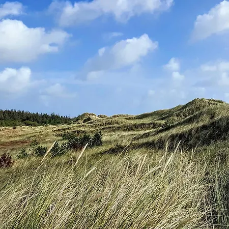 8 Person In * Ålbæk